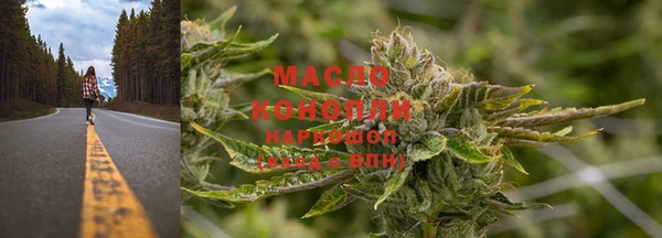 прущие грибы Алзамай