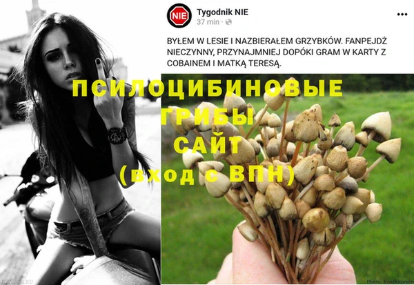героин Алексин