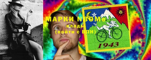 прущие грибы Алзамай